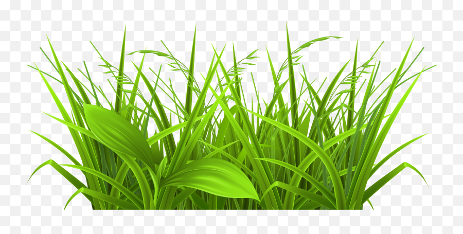 Grass Clipart Transparent Free Images 4 - Grass Full Hd Png,Grass Clipart Transparent
