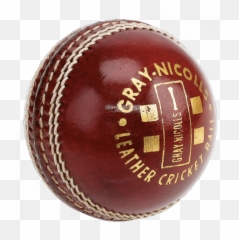 Httpsotagosportsdepotconz Daily - Gray Nicolls Hard Ball Bat Price In Pakistan png