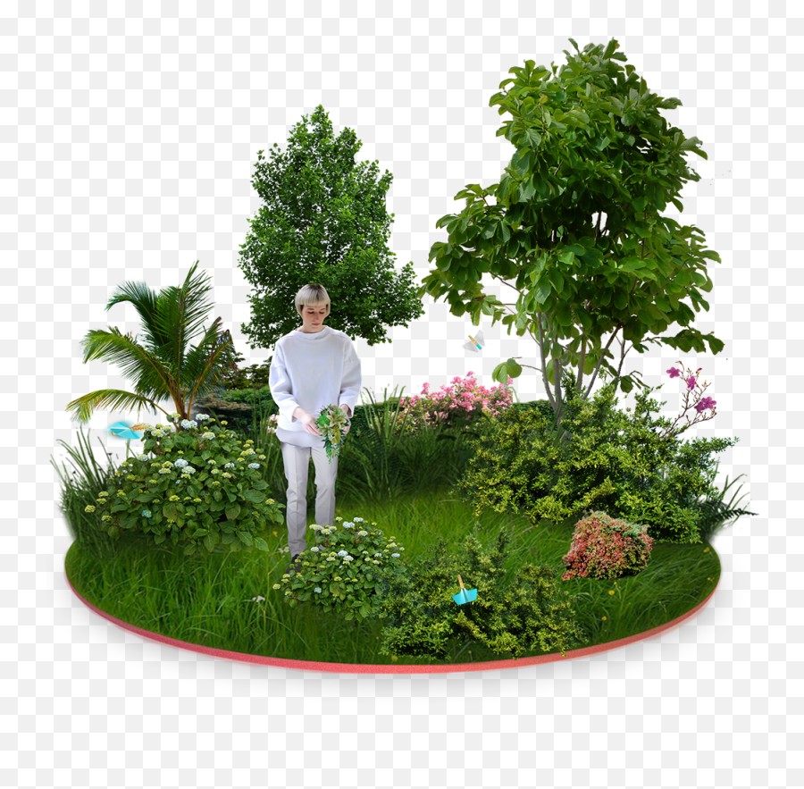 Png Garden For Free Download - Transparent Background Small Tree Png,Garden  Png - free transparent png images 
