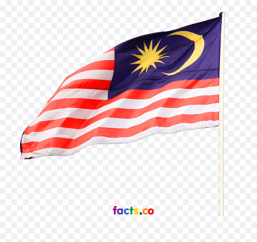 Malaysia Flag Transparent Png Pictures - Free Icons And Png Malaysia Flag Png No Background,Checkered Flags Png
