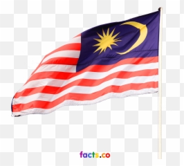 Malaysia Flag Transparent Png Pictures - Free Icons and Png No Background