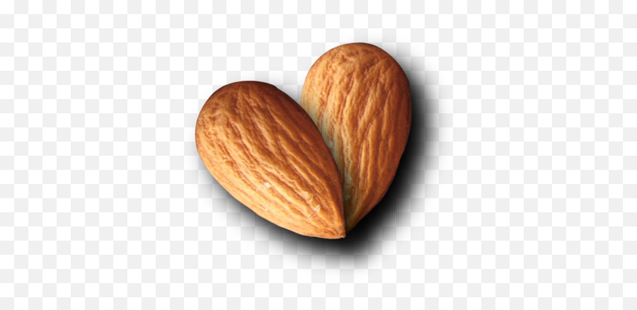 One Almond Png 4 Image - Almond Nut Transparent Background,Almonds Png