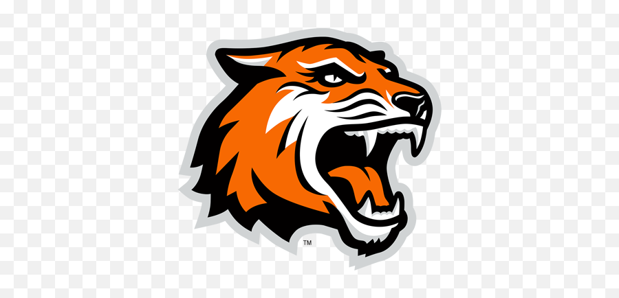Logos - Rochester Institute Of Technology Tiger Png,Tiger Logo Png