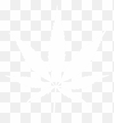 Free Pot Leaf Outline Png Download Clip Art - Transparent White