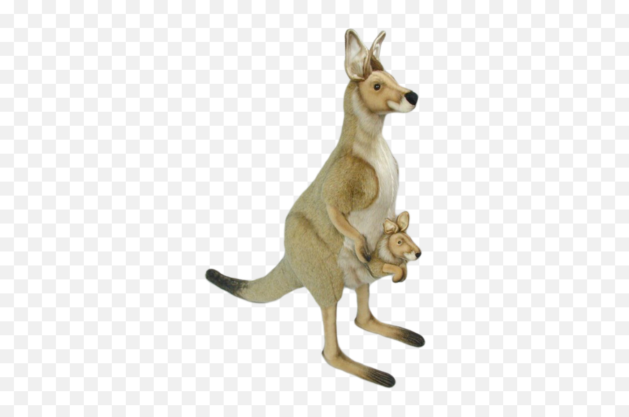 Kangaroo Png Images - Kangaroo,Kangaroo Png