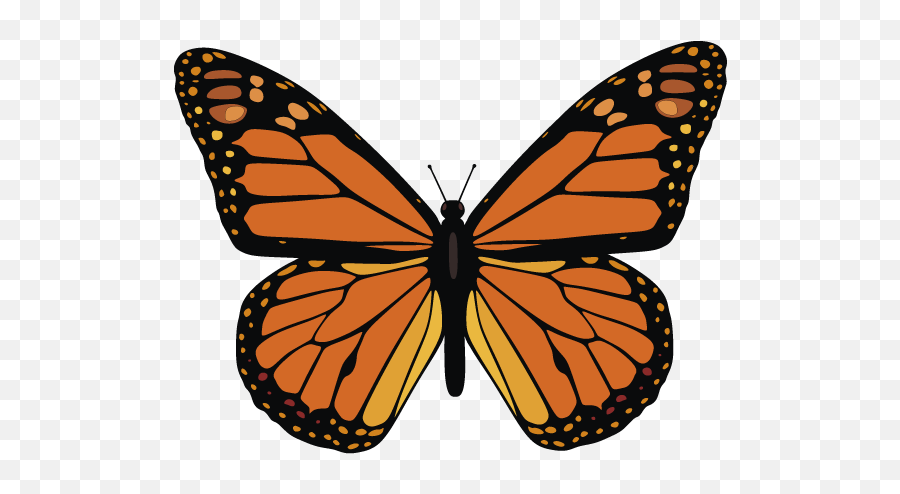 Monarch Butterfly Vector Png Image - Monarch Butterfly Printable,Butterfly Vector Png