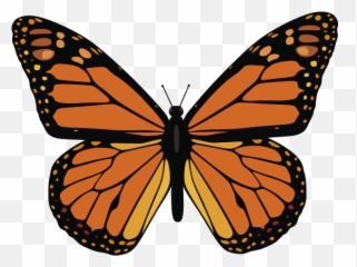 Monarch Butterfly Vector Png Image - Monarch Butterfly Printable,Butterfly Vector Png