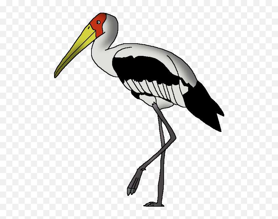 Painted Stork - Painted Stork Images Drawing Png,Stork Png