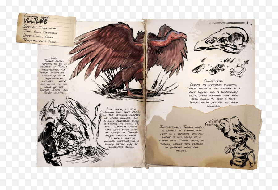 Survival Evolved Wiki - Ark Survival Evolved Vulture Png,Vulture Png
