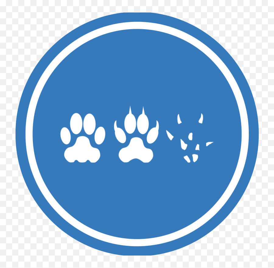 Cat - Sweatcoin Logo Png,Peace Logo