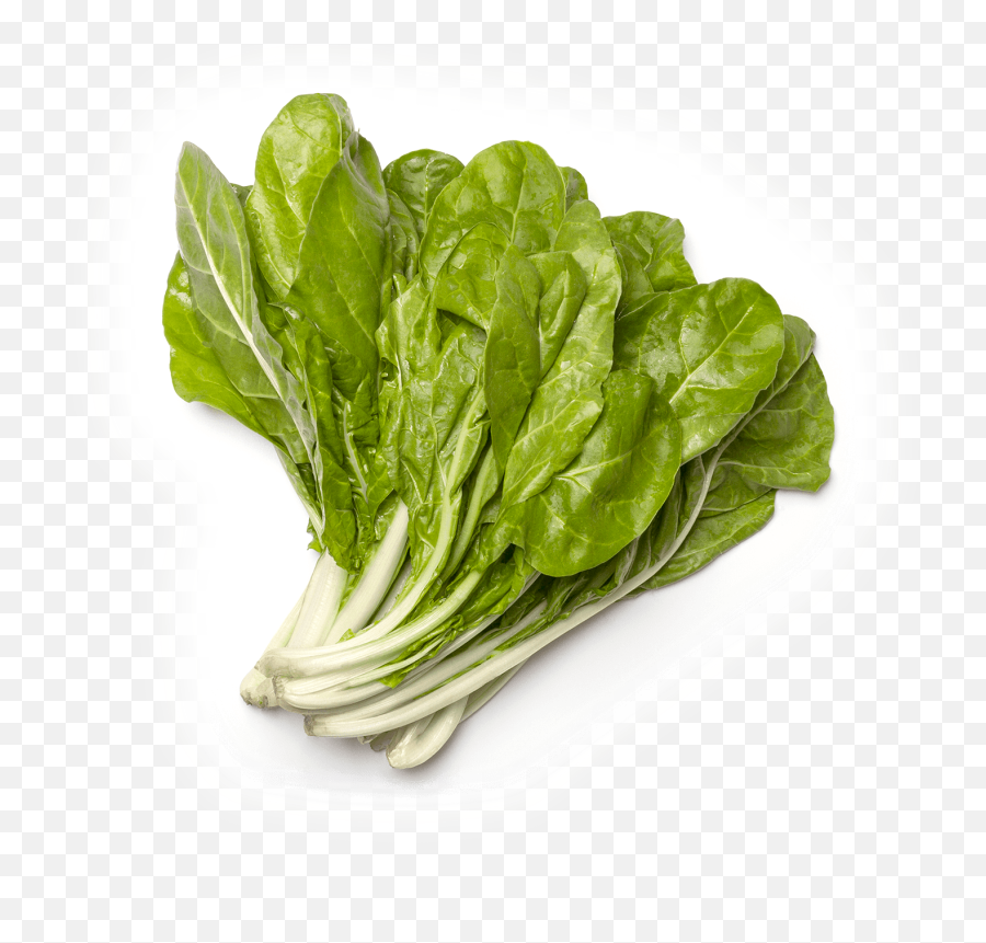 Download Acelgas Extra Manojo - Kinds Of Vegetable Png,Lettuce Png