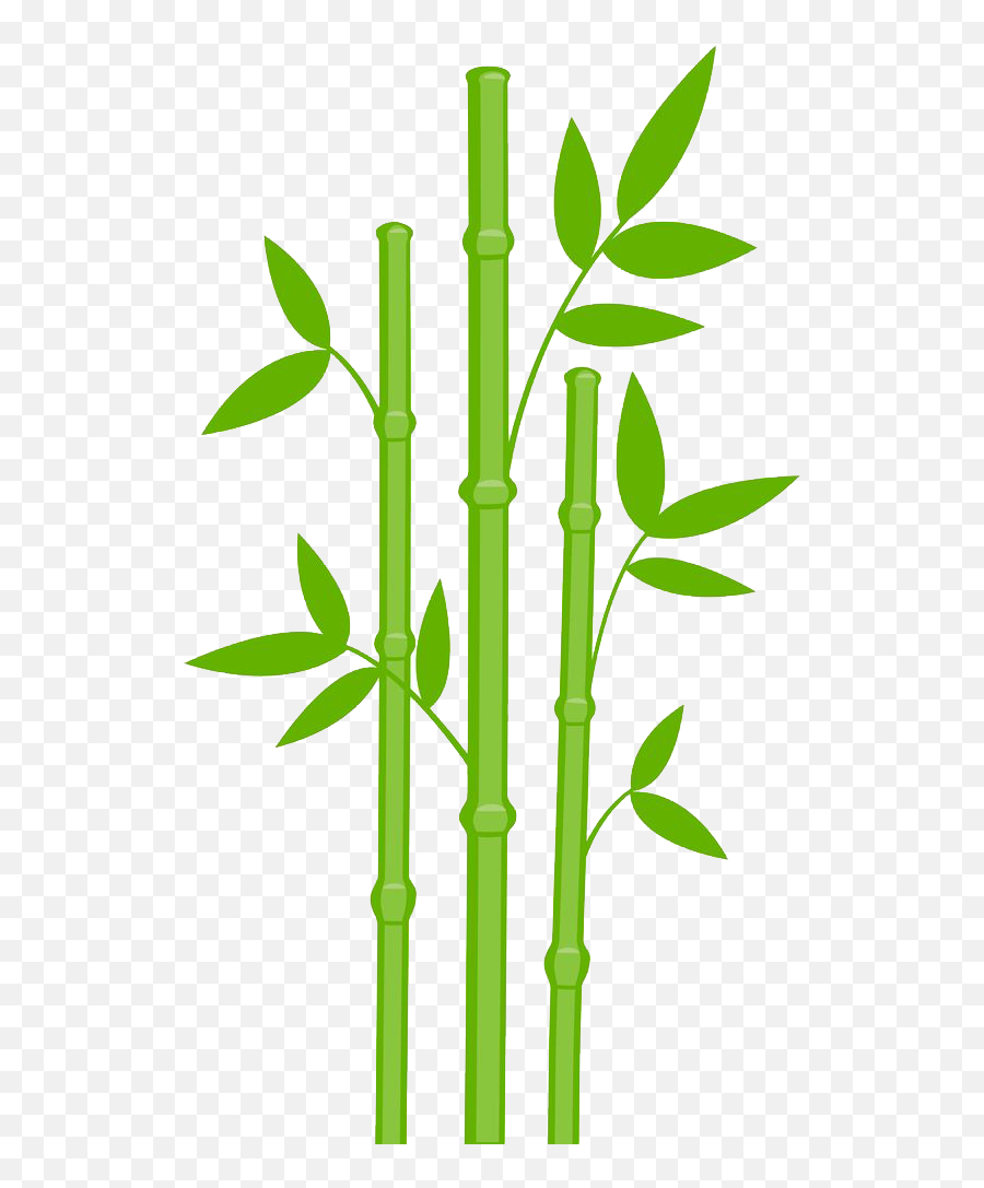 Bamboo Png Tree Plant Exotic Transparent - Bamboo Clipart,Plant Transparent Background