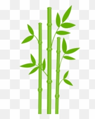 Bamboo Png Tree Plant Exotic Transparent - Clipart
