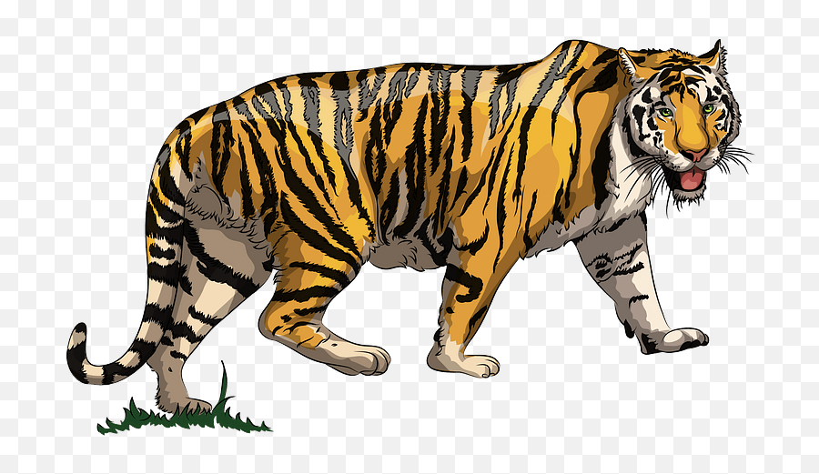 Tiger Clipart Free Download Transparent Png Creazilla - Tiger Clipart,Tiger Transparent