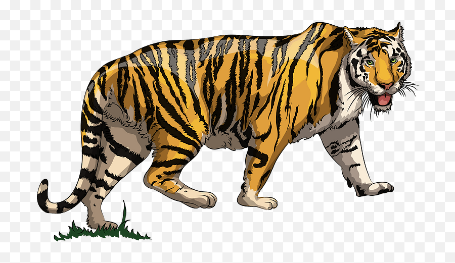 clipart free tiger