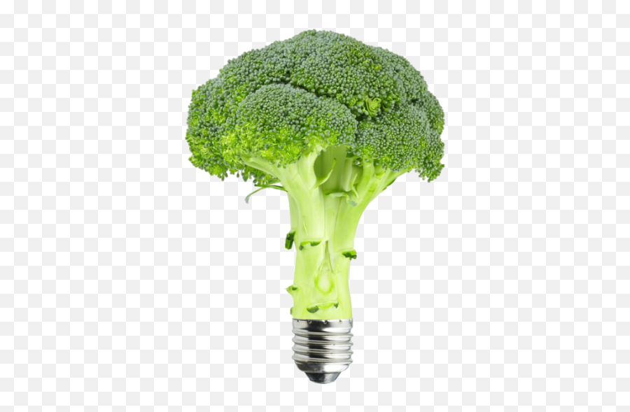 Brocoli - Broccoli Kål Png,Brocoli Png
