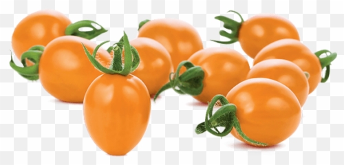 Mucci Farms - Cherry Tomatoes Png,Tomato Transparent