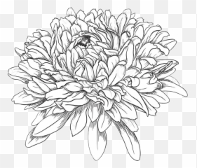 China Woods Fine Furniture Png Chrysanthemum
