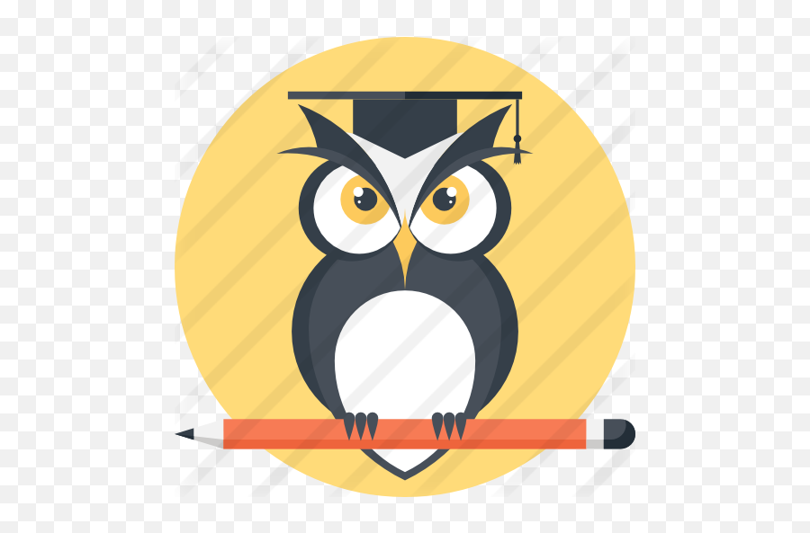 Owl - Free Animals Icons School Owl Icon Png,Birrete Png