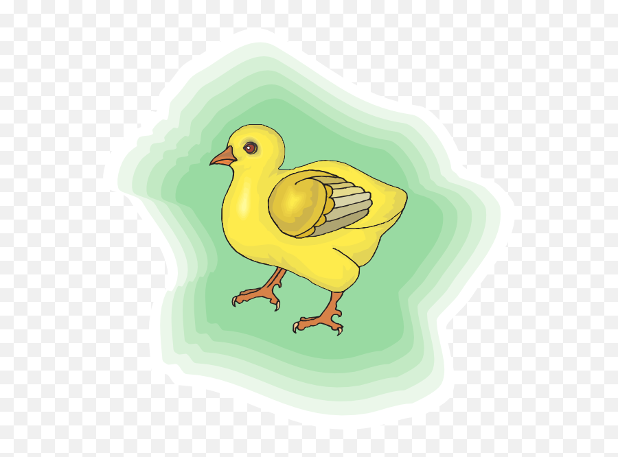 Baby Chick With Green Background Png - Chicken,Baby Chick Png