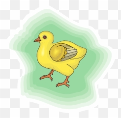 Baby Chick With Green Background Png - Chicken