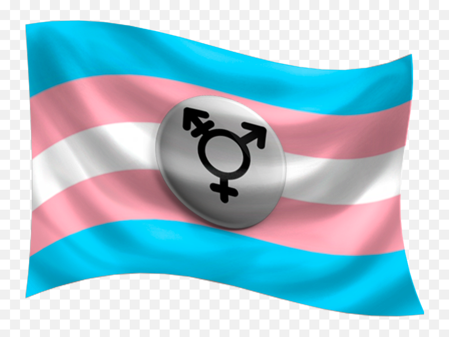 Gender Identity Pride Flags Glyphs - Event Png,Trans Flag Png