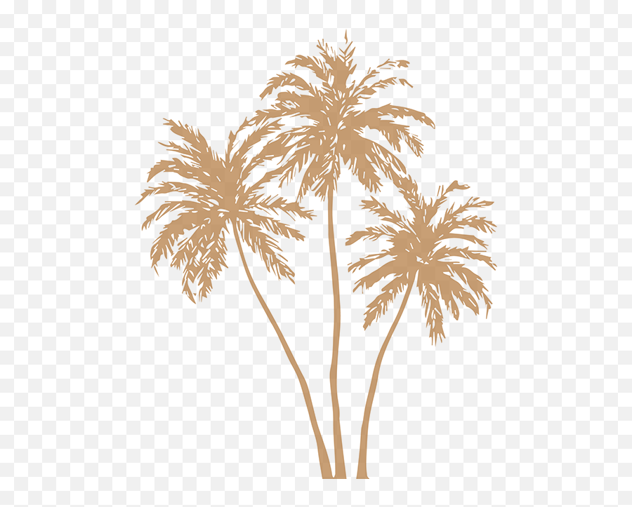 Gold Palm Leaves Png Image Free Stock - Gold Palm Leaves Png,Palm Tree Leaves Png