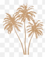 Gold Palm Leaves Png Image Free Stock