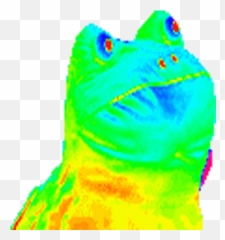Describe Gmod Tower Moments With A Gif - GMod Dancing Rainbow Bird Gif png