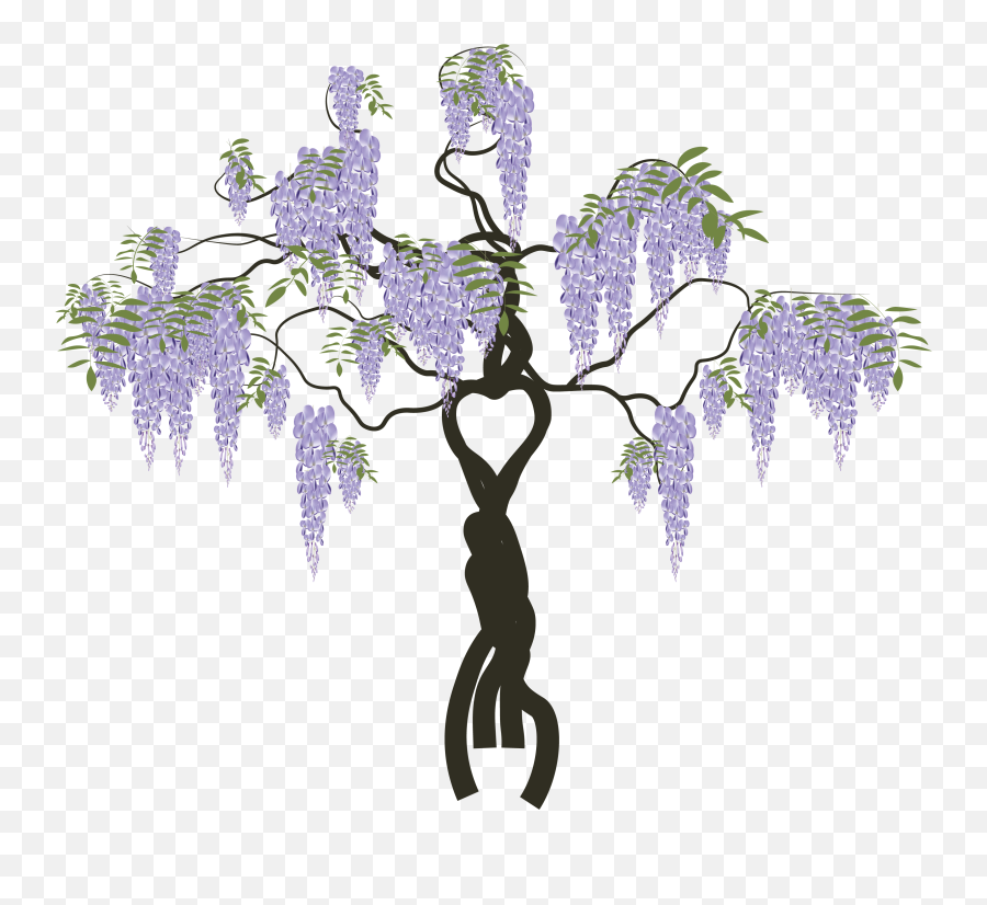Wisteria - Chinese Wisteria Png,Wisteria Png
