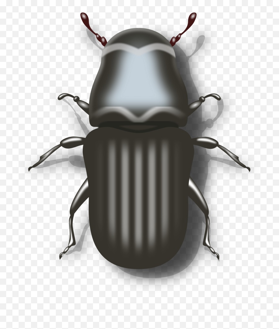 Download Biker Vector Motorcycle Clipart - Beetle Clipart Pine Beetle Clipart Png,Motorcycle Clipart Png