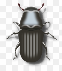 Download Biker Vector Motorcycle Clipart - Beetle Clipart Pine Beetle Clipart Png,Motorcycle Clipart Png