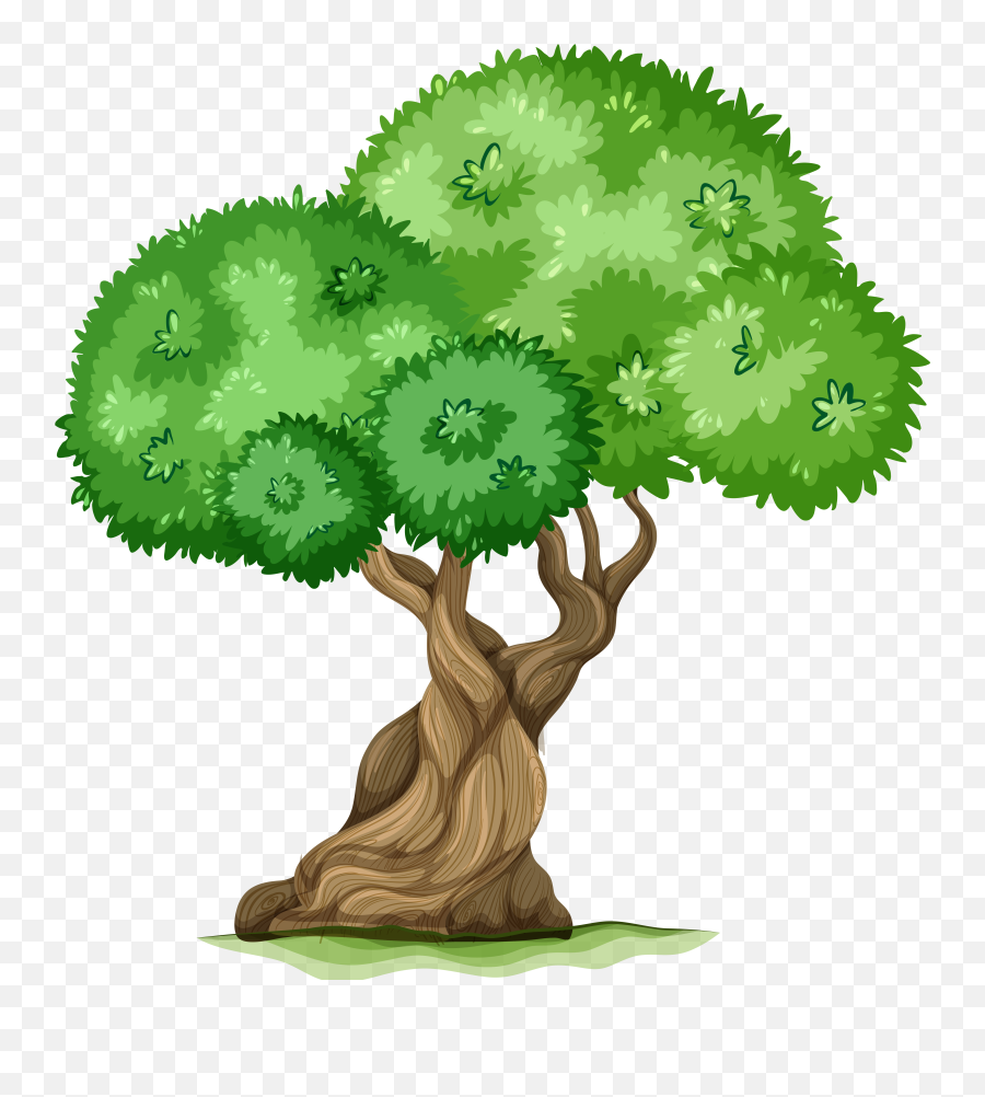 Trees Vector Downloads Png Files - Bristlecone Pine Vector,Tree Clip Art Png
