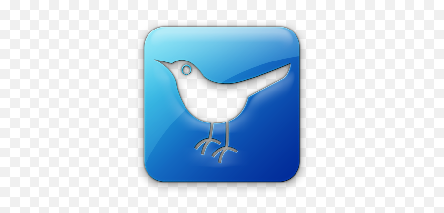 Download Twitter Bird Logo Icon - Blue Jelly Social Media Twitter Png,Blue Bird Icon