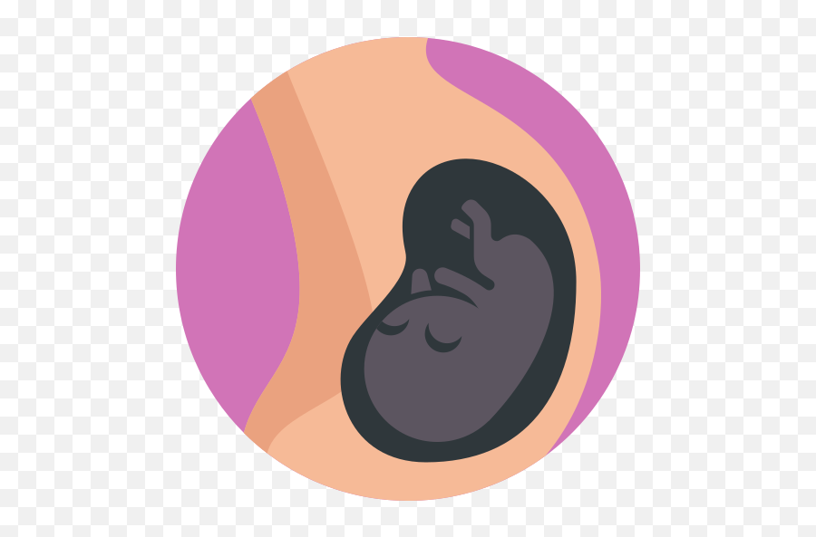 Pregnancy - Free Healthcare And Medical Icons Art Png,Maternity Icon
