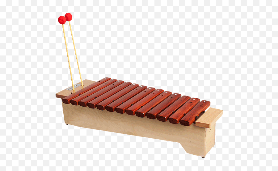 Xylophones Anthonys Music - Lessonsliverpoolinstrument Xylophone Png,Xylophone Png