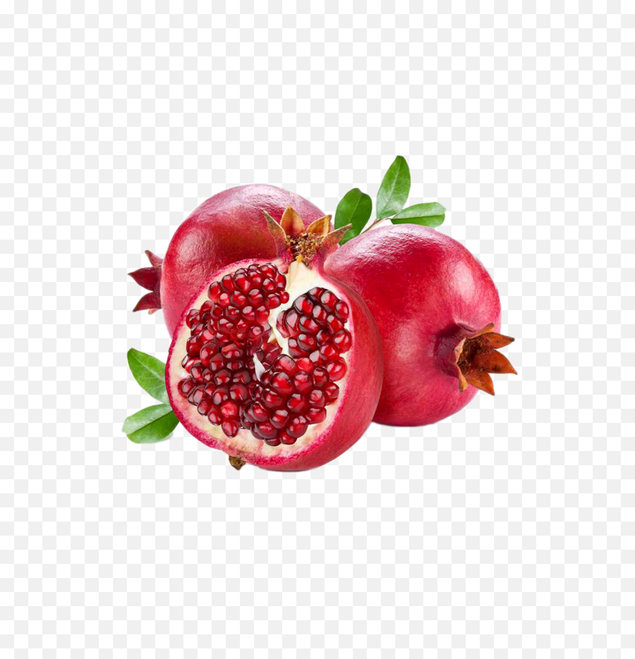 Pomegranate Transparent File - Fruit Pomegranate Png,Pomegranate Transparent