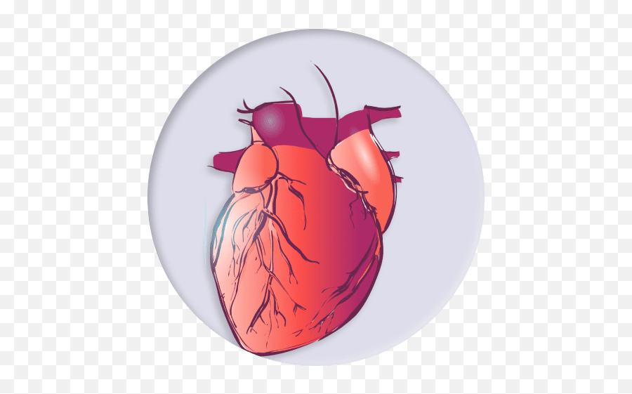 Health Ai - Audeering Heart Png,Icon Of Aspects