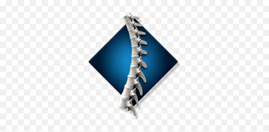 Chiropractic Care Lewes Dr Frank Mrazeck - Vertical Png,Spine Icon