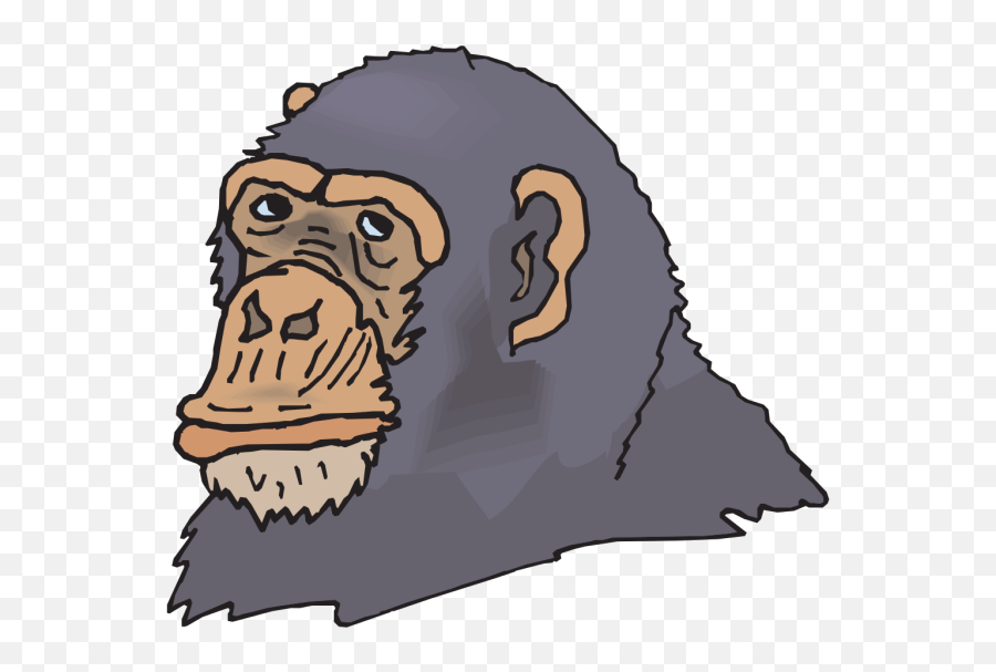 Gray Chimp Head Png Svg Clip Art For Web - Download Clip Chimpanzee,Orangutan Icon