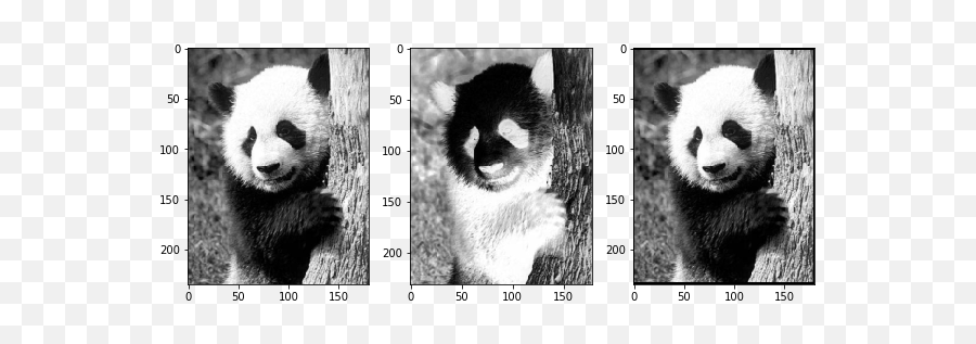 Convolution And Deconvolution Revisited U2013 From Data To Decisions - Giant Panda Png,Panda Aim Icon