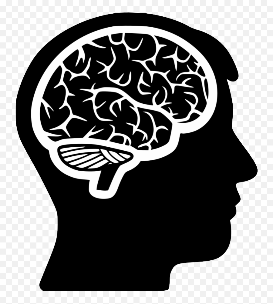 Brain Png - Head Brain Vector Png,Brain Transparent Background