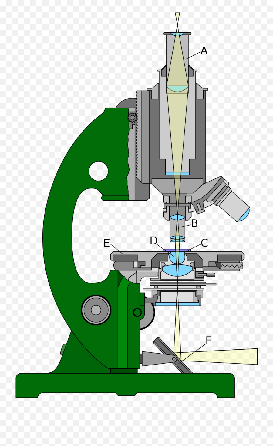 Choosing A Microscope For Your Yeast Lab - Sui Generis Brewing Refraction In A Microscope Png,Microscope Transparent Background