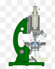 Choosing A Microscope For Your Yeast Lab - Sui Generis Brewing Refraction In A Microscope Png,Microscope Transparent Background