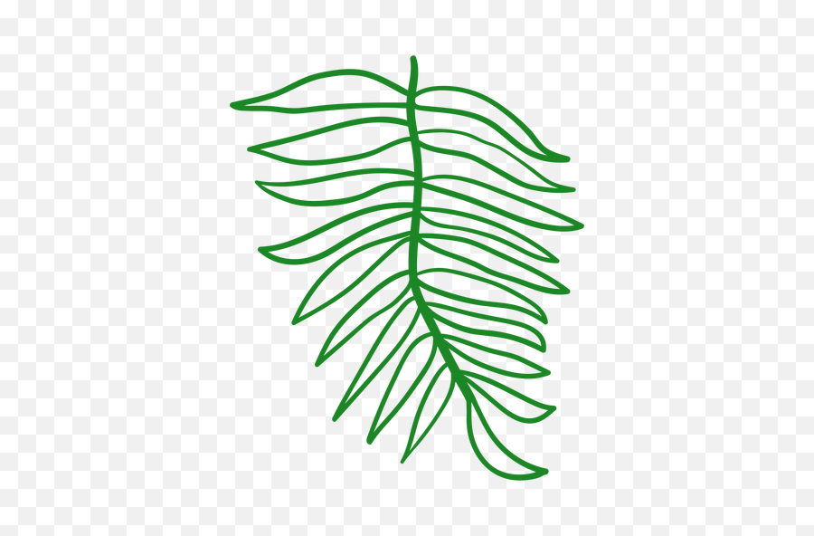 Tall Tree Silhouette Free Svg - Green Tree Silhouette Png,Tall Tree Png