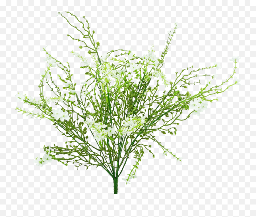 Babyu0027s Breath Filler Bush White - Grass Png,Baby's Breath Png