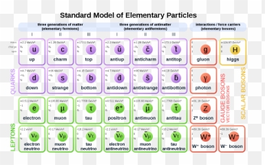 Filestandard Model Of Elementary Particles Antisvg - Wikipedia Of png