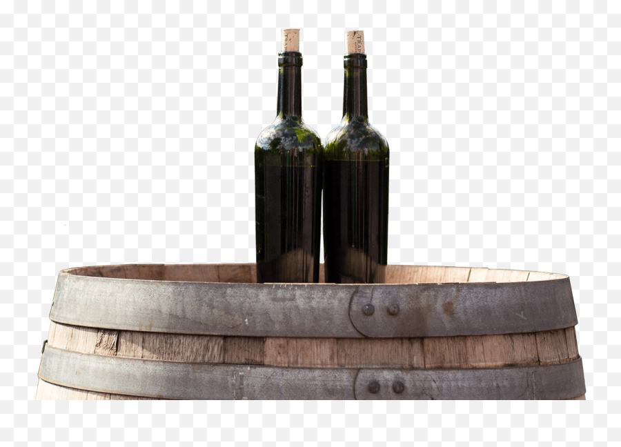 North Carolina And South Wine Distributors - Wine Bottle Png,Grapevine Png