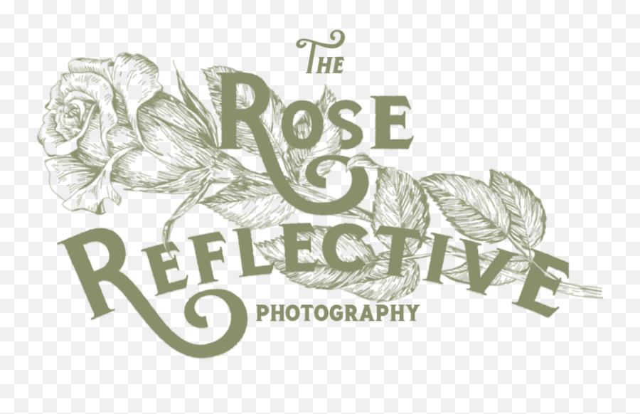 The Rose Reflective Photography Png Mandy