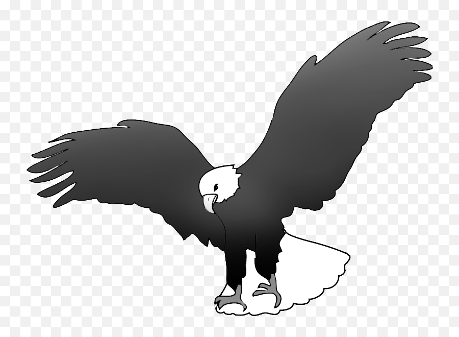 Bald Eagle Drawings - Eagle In Black And White Png,Eagles Png